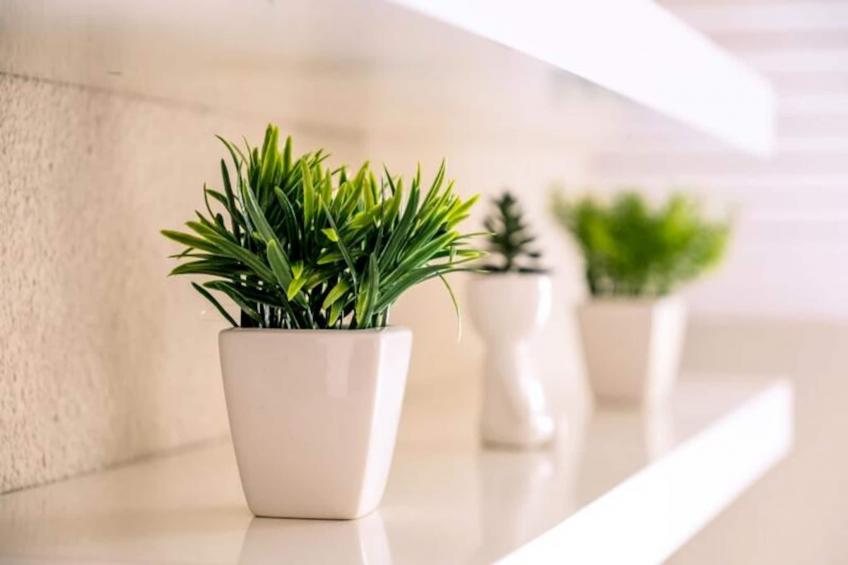 Slow Chalet Montblanc Soleil Sur Les Pistes Ascenseur Balcon, Vue, Parking - foto 23