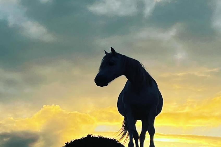 Mobil Home - Bungalow - Cottage à Ballyconneely Galway - foto 31