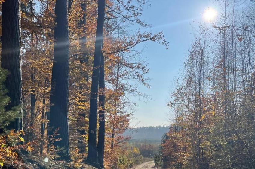 Vogelecke - abseits des Trubels und der Hektik - foto 32