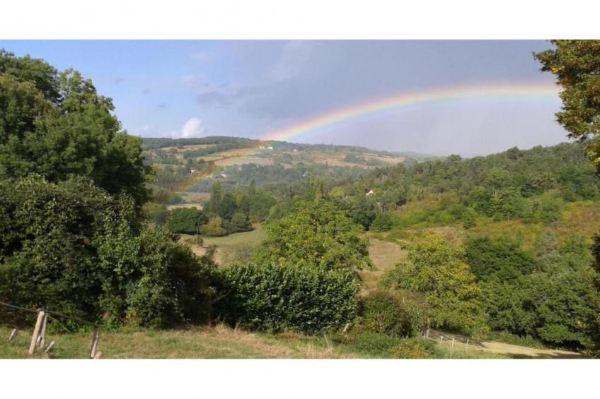 Le Phénix - foto 29