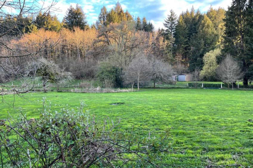 für 6 Pers. mit eigenem Teich - foto 15