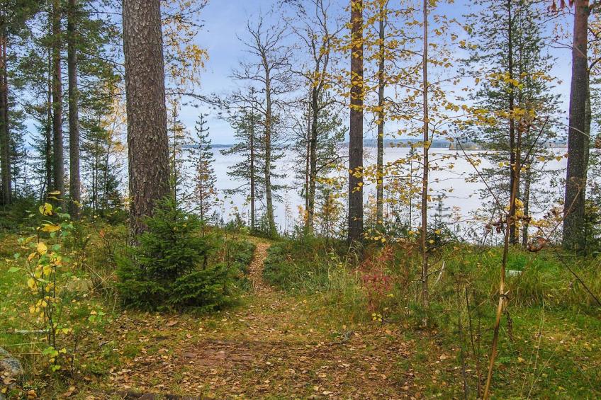 Mäntyranta - foto 23