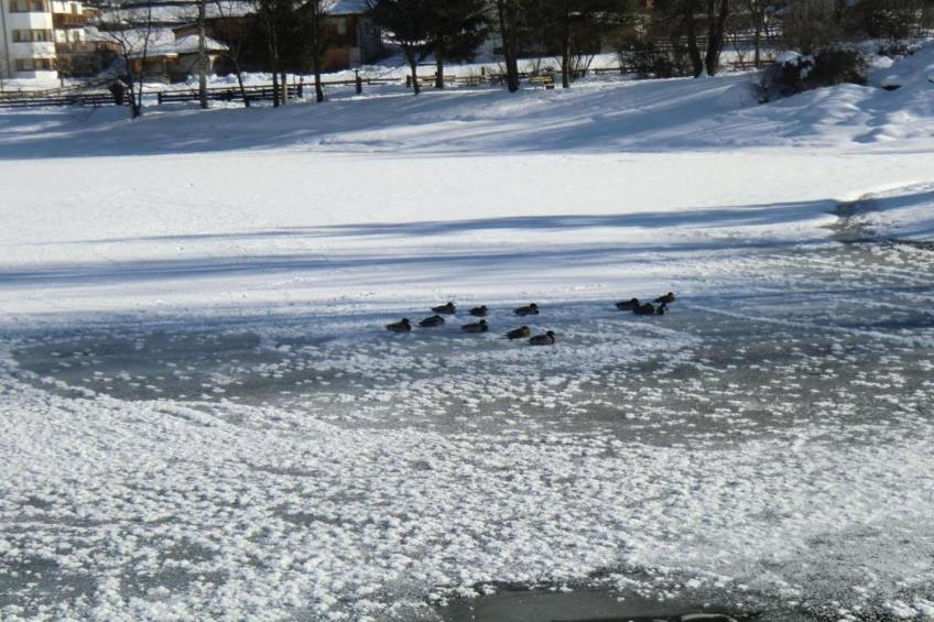 Apartment 19 - foto 23