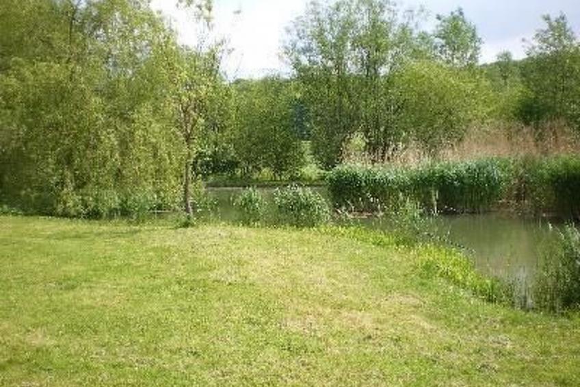 mit naturnahen Badeteich - foto 16