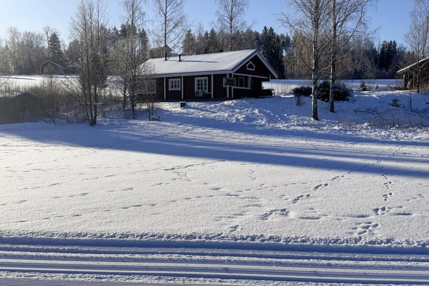 Peltosirkku, seeteri - foto 27