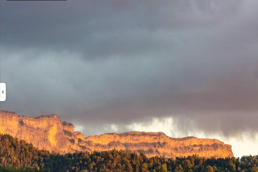 Cheval blanc - foto 18