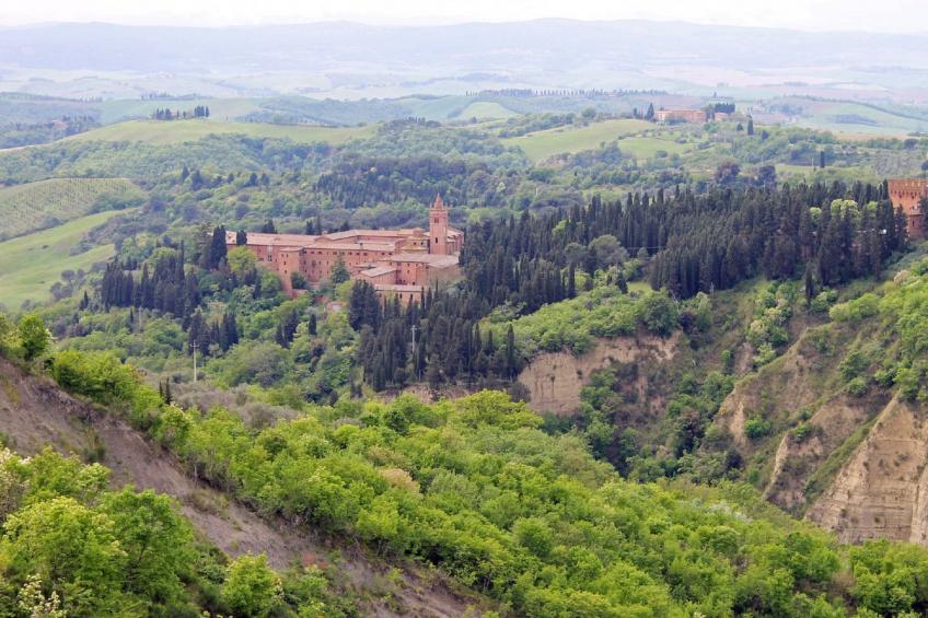 'Molinello albicocco' - foto 40