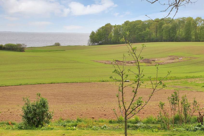 "Hoimar" - 400m from the sea in SE Jutland - foto 14