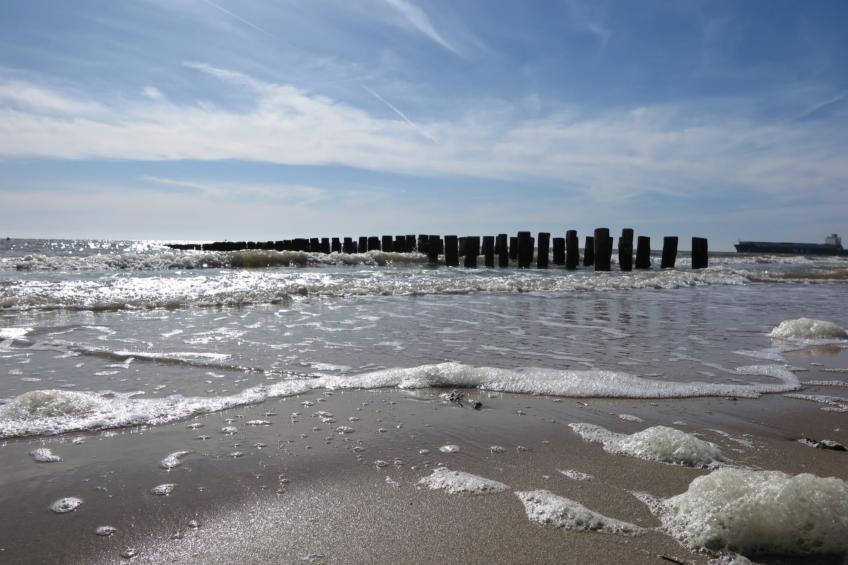 Slaapstrandhuisje - Strand dishoek 60 - foto 18