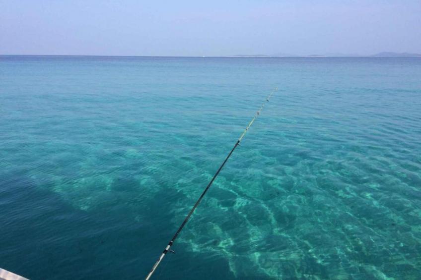 Gorgonia S2 - foto 30