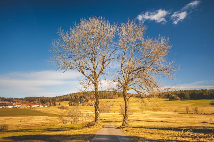 Ferienwohnung Herrischried an der Skipiste - foto 38