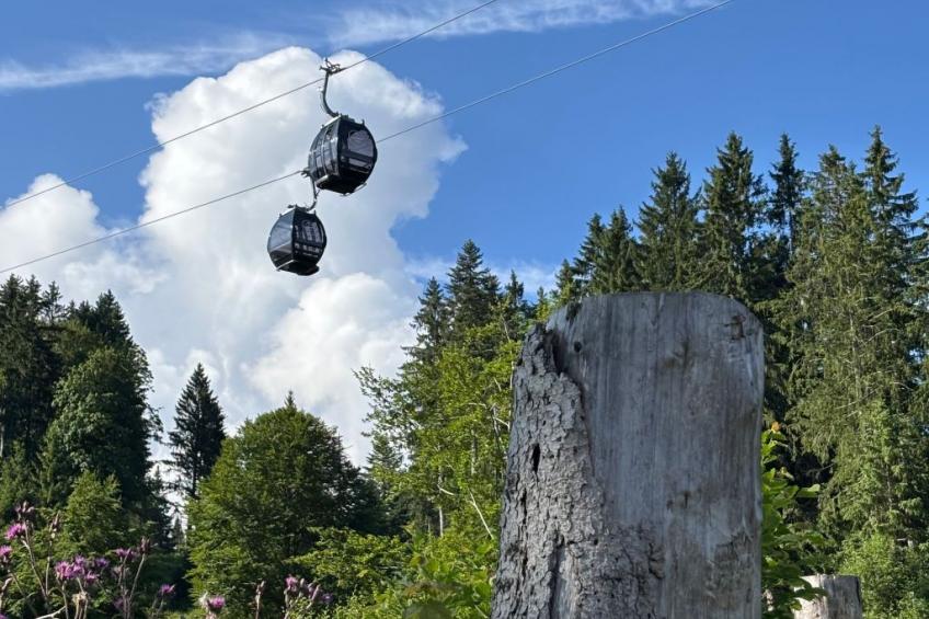 Haus Rosenwirth - foto 20