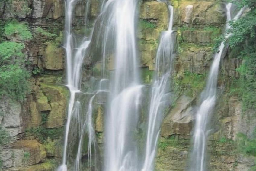 Wohnung L'Ulivo - foto 13