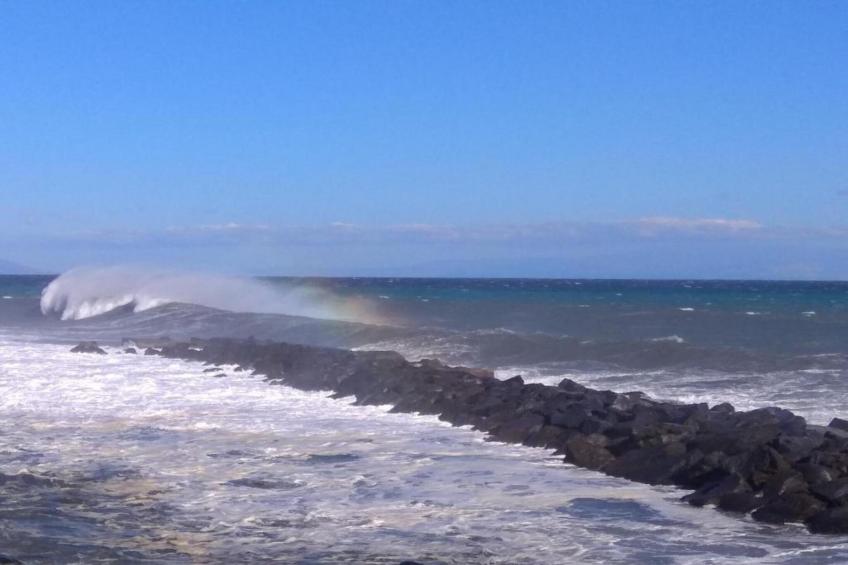 Villa Aloe Charming House - foto 32