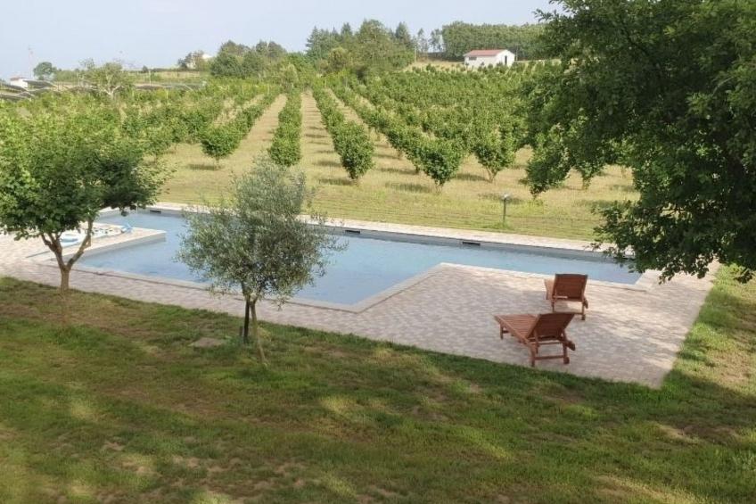 DOMUS NIRALE - foto 2