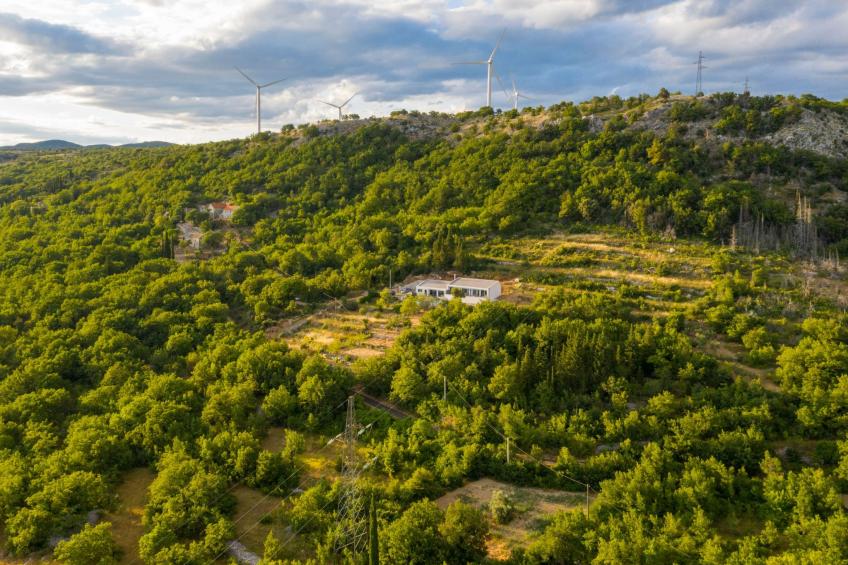 La Finca OliveTree - foto 3