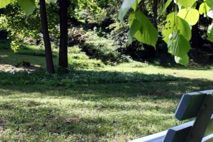 Wohlfühloase für Natur- und Gartenliebhaber - foto 4