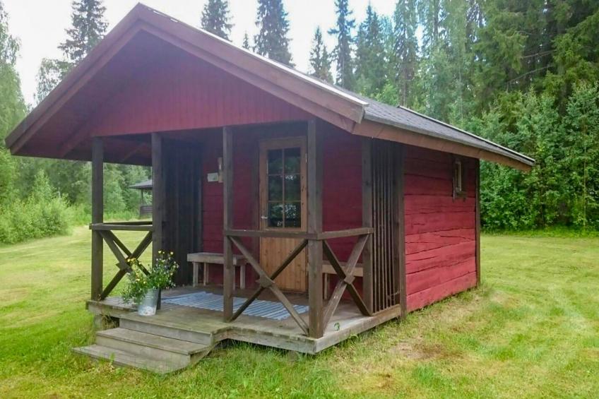 Metsä-pihlaja - foto 14