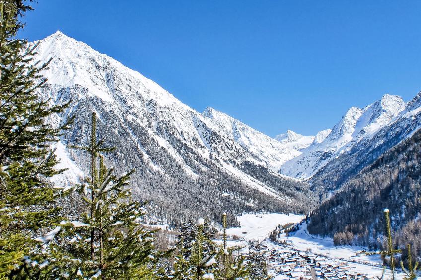 Agnesn - foto 31
