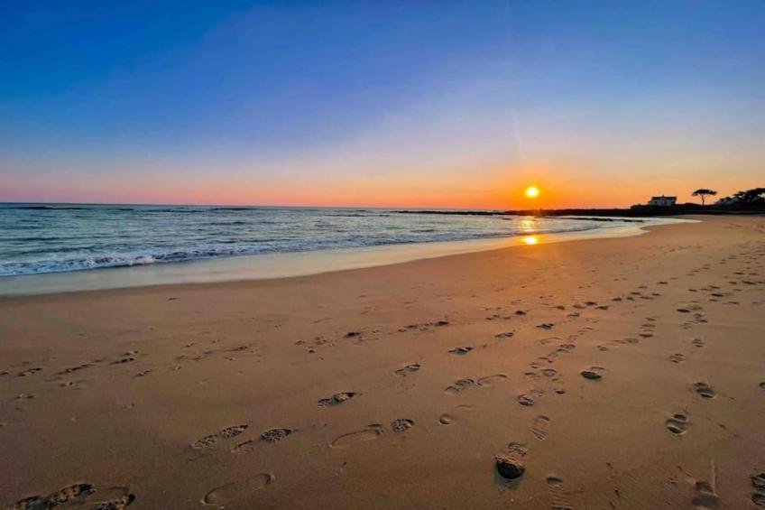 Résidence Valentin Plage 1 - foto 38