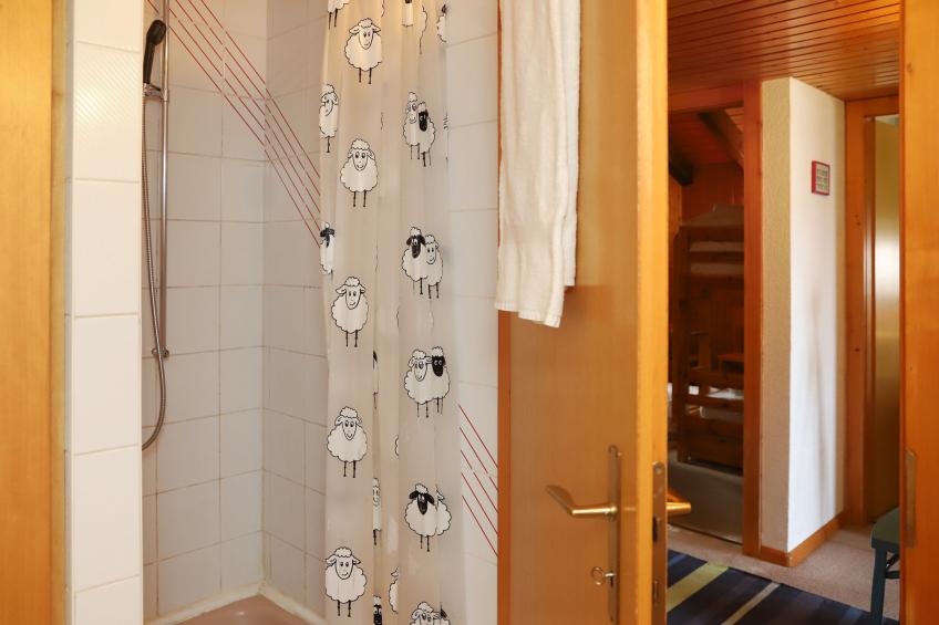 Chalet Edelweiss (LTZ105) - foto 25