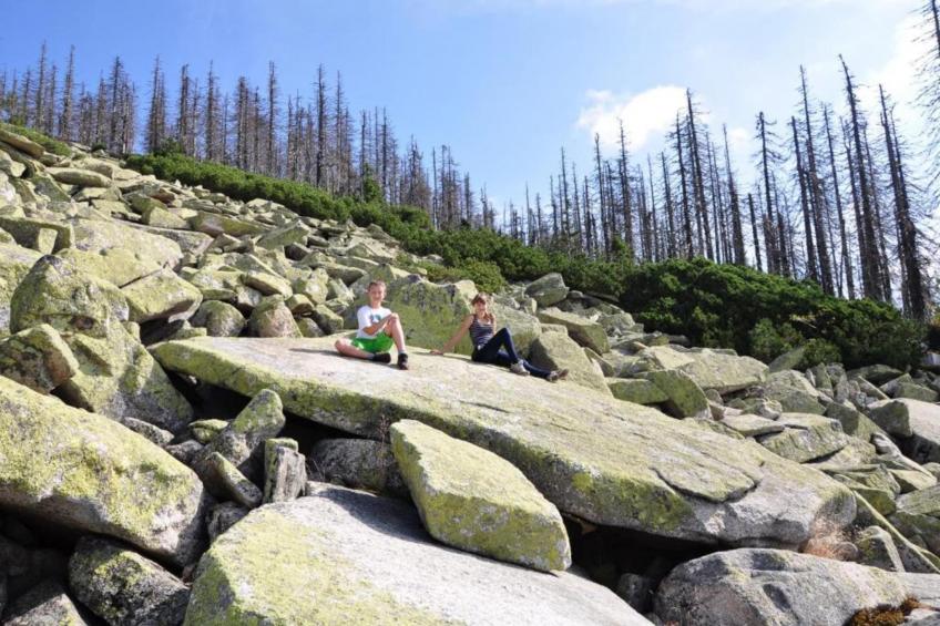 Vakantiepark Jägerwiesen - foto 19