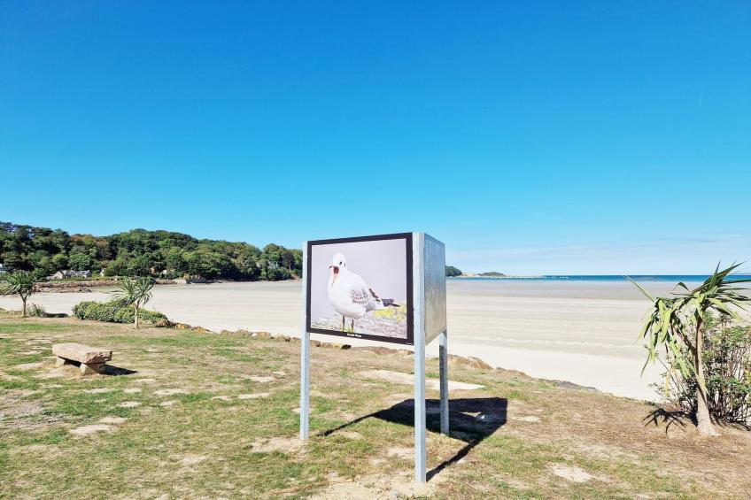 Holiday home in Plougasnou Baie de Morlaix - foto 29