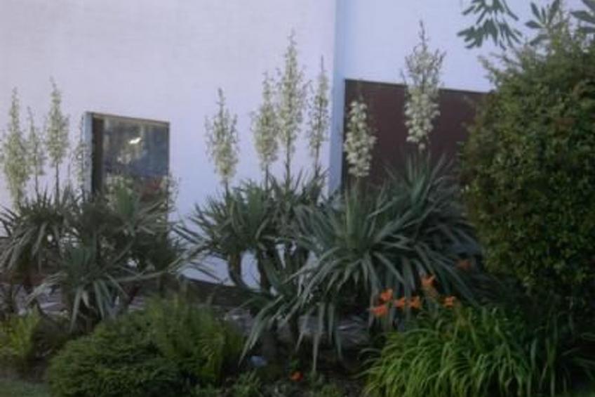 Am Waldrand - foto 19