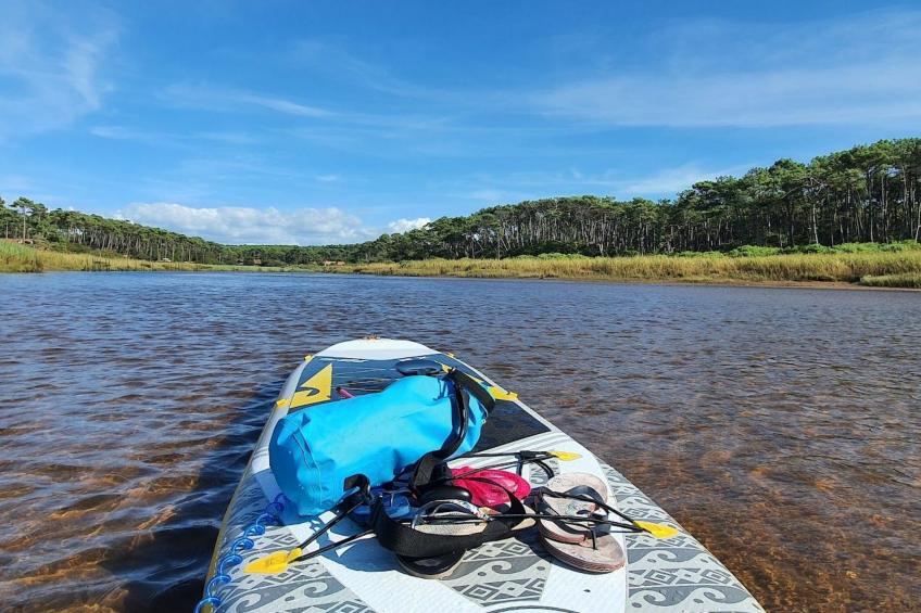 Villa Cocoon Contis-plage 1 chambre - foto 20