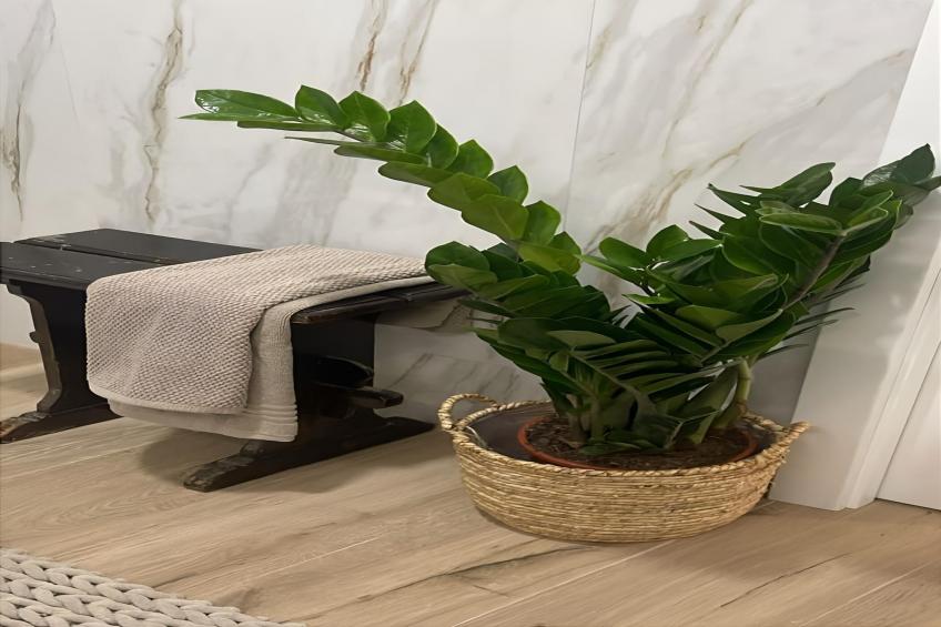 Golegã Boutique Apartment By Gt House - foto 37