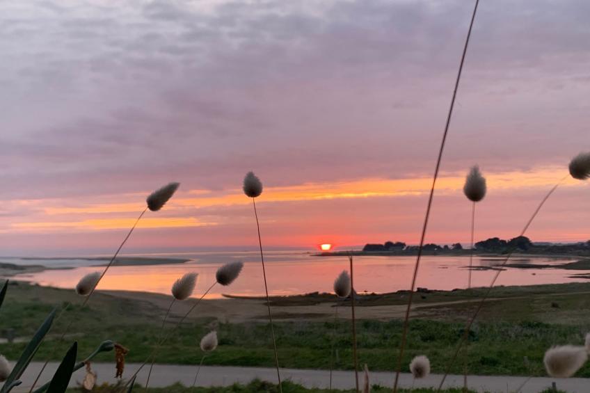 Les Chardons Bleus Sauna Jacuzzi Meerblick - foto 13
