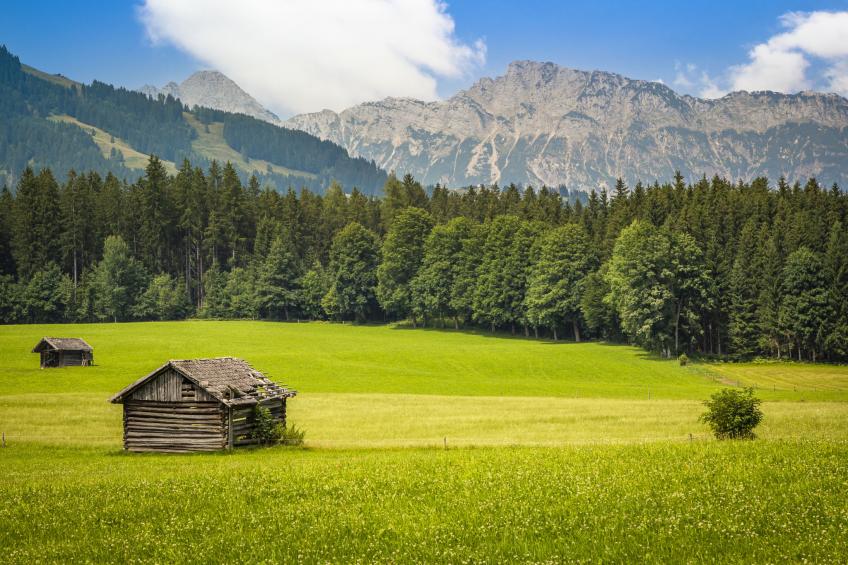 Hanserbauer - foto 31