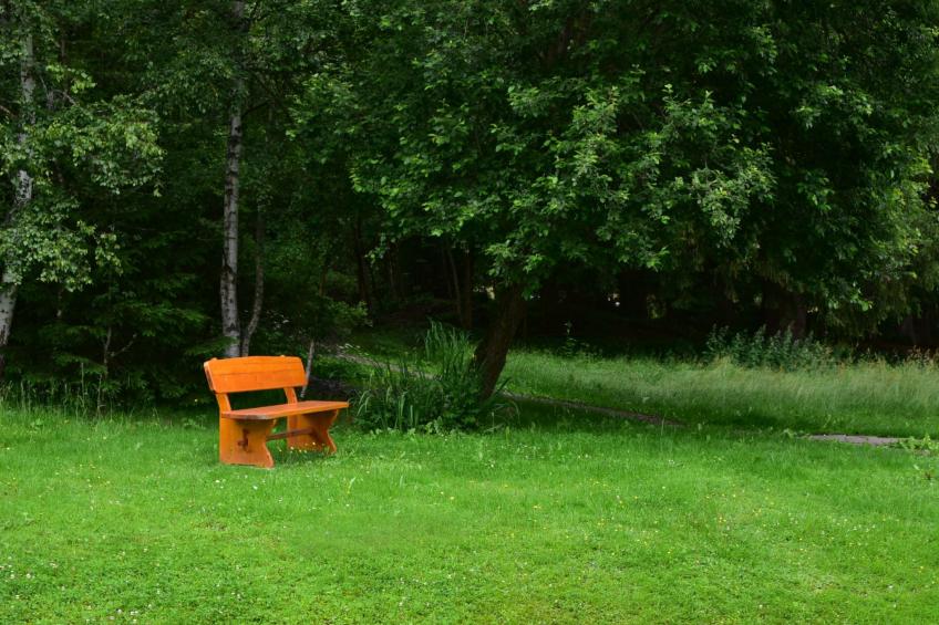 Appartement in Saig mit Garten und Grill - foto 11