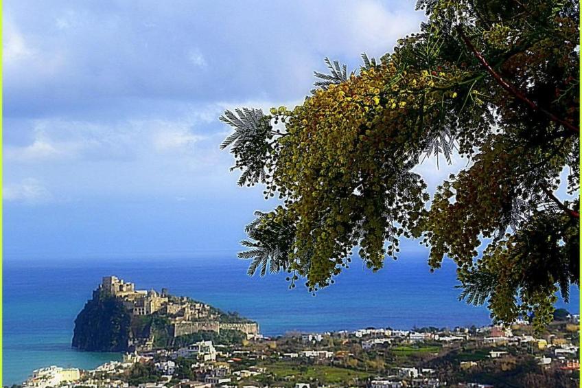 Wohnung mit großer Terrasse und Meerblick - foto 30