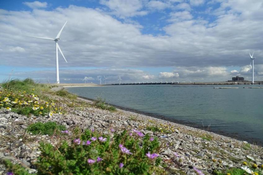 Heerlijkheid Vlietenburg 11 - foto 39