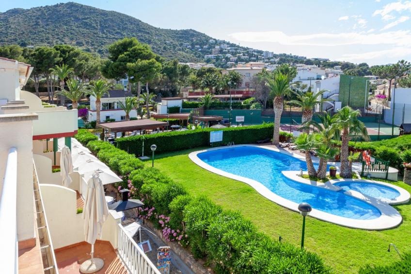 Palmiers 01 - foto 13