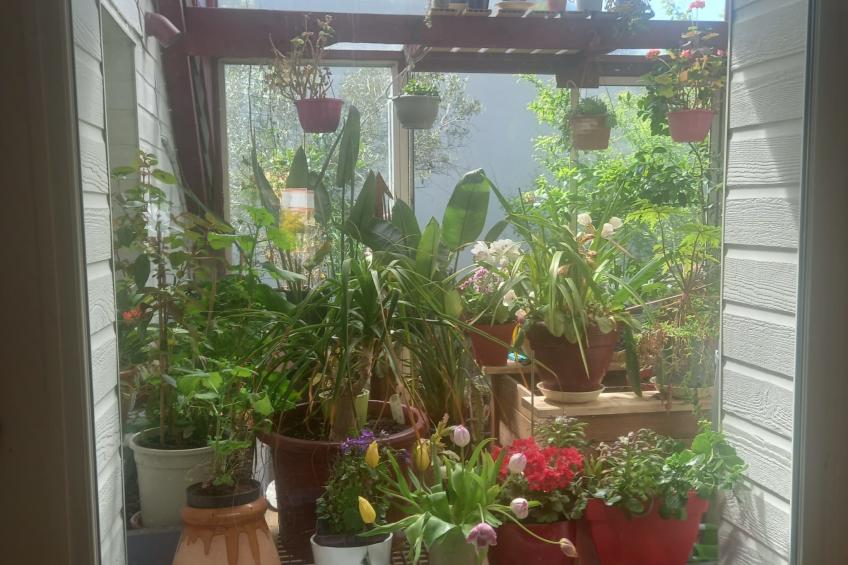 Le Paradis des Fleurs - foto 8