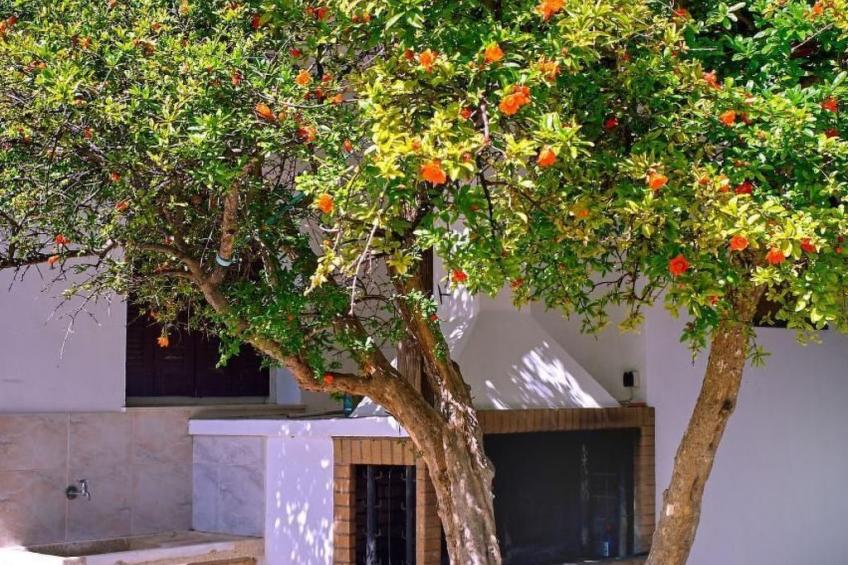 Villa Manthos Traditionelles Kretisches Herrenhaus - foto 34