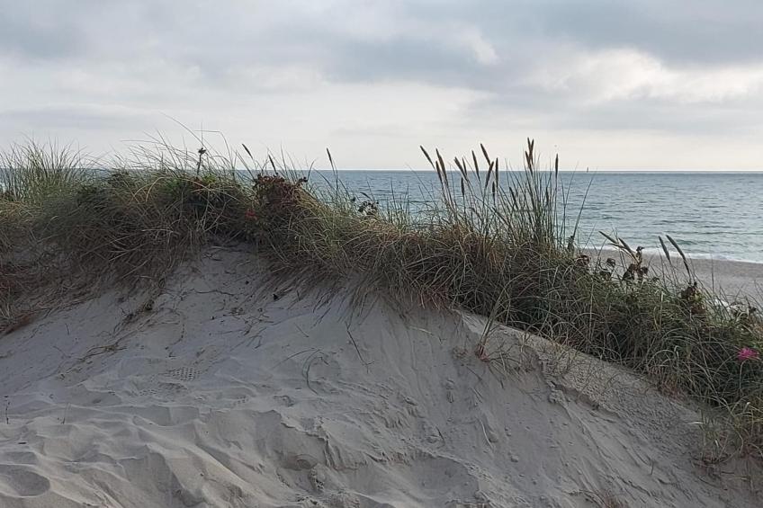 Twee-onder-een-kap woning Nordseebrise, Niebüll - foto 22