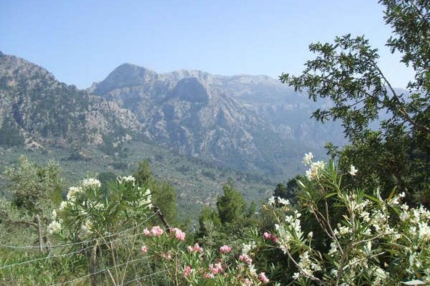 berghütte in meeresnähe, ideal für ausflüge in d - foto 7