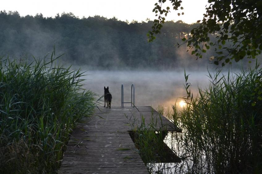 Dom pod Gruszą dla 4 os Klępnica - foto 19