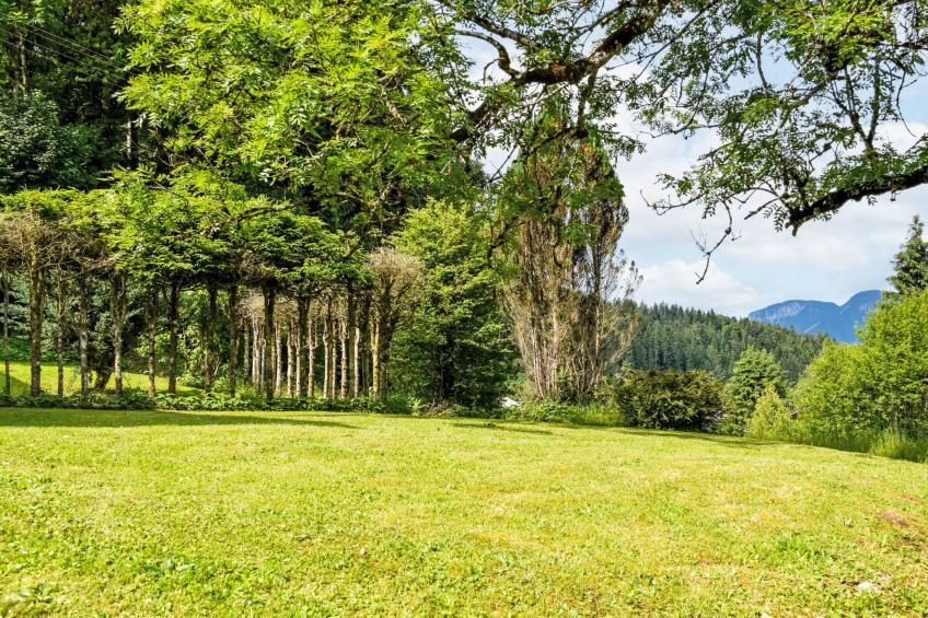 Studio Esche 3 - foto 47