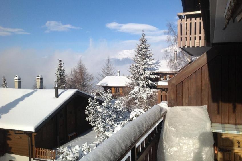 Moosalpe A - foto 32