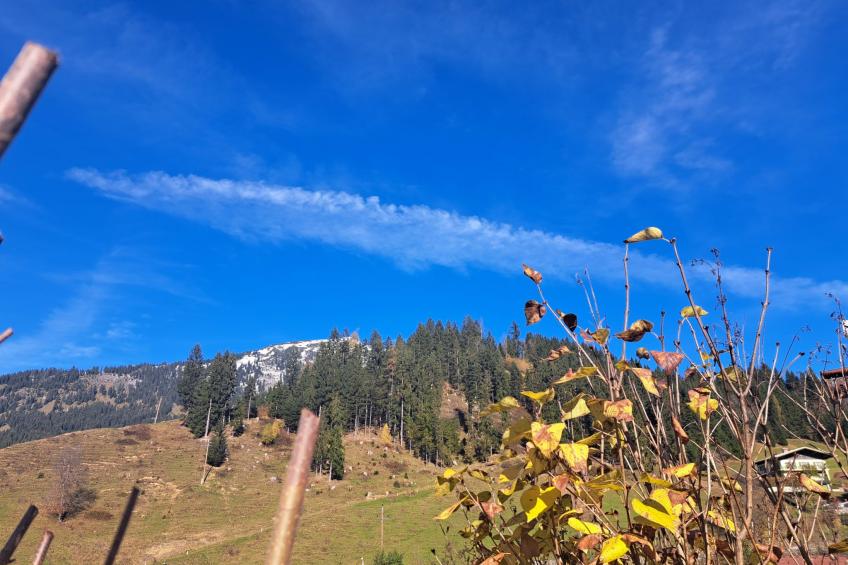 Appartement 2 - foto 32