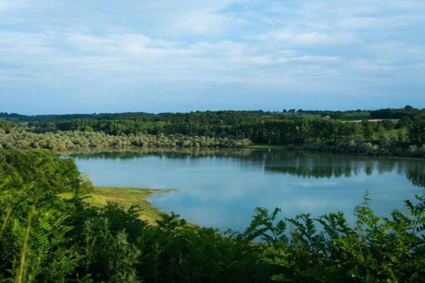 La Cote de Boué - foto 31