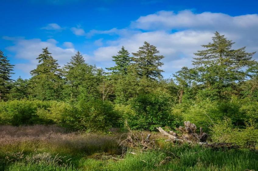 Buitenplaats Holten 10 - foto 32