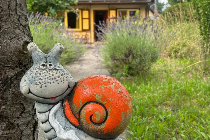 Datscha im Grünen - foto 46