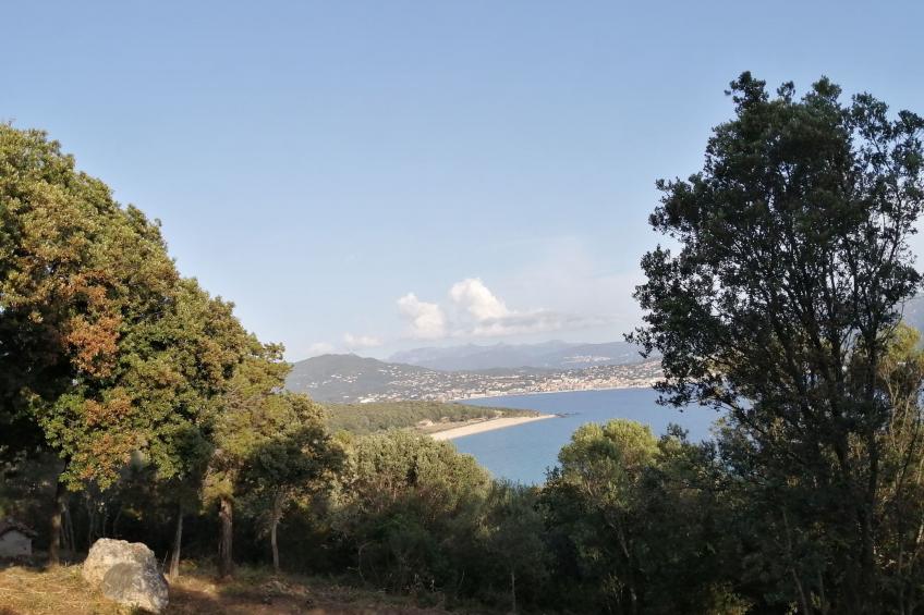 Corse du Sud 10mn von den Stränden entfernt - Olmeto App 4P - foto 18