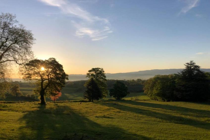 Gite 6 pers Bellevue - foto 34