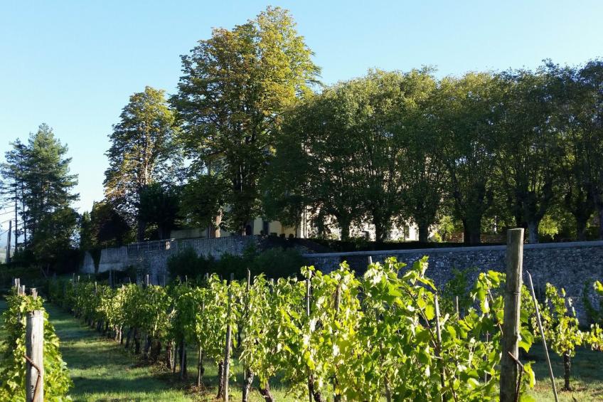 Villa 'Villa Salicone' mit privatem Pool - foto 2